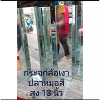 ราคา กระจกเงาปลาหมอสี สามเหลี่ยมสูง 12 นิ้ว (22945018622)