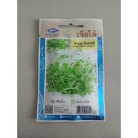 ราคา เมล็ดพันธุ์พืช ทานตะวันงอก SUNFLOWER SPROUTตรา เจียไต๋ (44153992936)