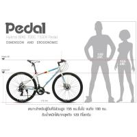 ราคา จักรยานไฮบริต TIGER รุ่น Pedal (10242058170)