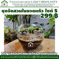 ราคา ชุดจัดสวนในขวดแก้ว ไซต์ S สวนเปิด ชุดตกแต่งธารน้ำใส 299 บาท มีของพร้อมส่ง (3813220150)