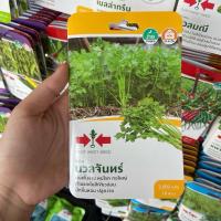ราคา เมล็ดผักขึ้นฉ่าย ตราศรแดง (28115997354)