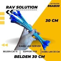ราคา GIGABYTE BELDEN GIGABYTE CAT 6 CUSTOM RAV SOLUTION BAB00 สาย LAN SERVER (57052927593)