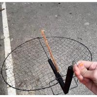 ราคา ผีเสื้อดักนกหัวจุก ปรอท (20969736572)