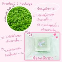 ราคา เพิลกลาส สนามหญ้าของตู้ปลา ต้นไม้น้ำพื้นหน้าตู้ปลา ไม้น้ำพิ้นหน้าตู้ที่ตู้ไม้น้ำทุกตู้ต้องมี (19480270548)