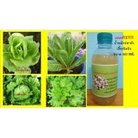 ราคา เมล็ดพันธ์ุสลัด4ชนิด400เมล็ดแถมปุ๋ยน้ำหมักปลาฟรี (7811931027)