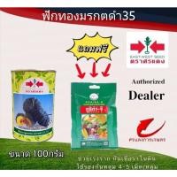 ราคา เมล็ดพันธุ์ ฟักทองมรกตดำ35 100g แถมกูซิก้าจีซองเล็ก (11205253589)