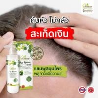 ราคา แชมพู PluKaow 250ml 1 ขวด หนังศีรษะชุ่มชื้น ไม่แห้งเป็นขุย อ่อนโยนกับหนังศีรษะที่แห้ง จากรังแค สะเก็ดเงิน (15059739943)