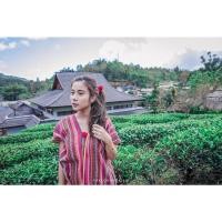 ราคา เดรสผ้านากา ทอลายสุดเก๋❤️❤️ ชุดเดรสนากาคูลๆ (5238628438)