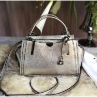 ราคา COACH dreamer21 platinum/gunmetal (1843682042)
