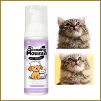 ราคา แชมพูแห้งสําหรับสุนัขสเปรย์กําจัดกลิ่นไม่ต้องล้างแชมพูสุนัขสําหรับกรูมมิ่งเดินทางลูกแมวลูกสุนัขห้องน้ําตั้งแคมป์ แทม (46404711869)