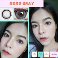ราคา xoxo grey montralens เทาสีฟิลเตอร์ตาละมุน (18276491439)