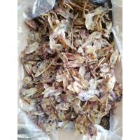 ราคา หมึกถูกที่สุด หมึกจืด หมึกกระตอย ตากแห้ง หมึกแห้ง จืด ตากใหม่ๆ แห้งเบา หมึกตัว หมึกเล็ก ได้เยอะมาก ขาวสวย (23051030959)