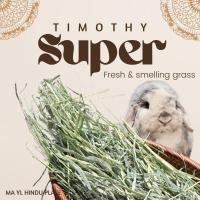 ราคา MAYL Timothy Super Perfect หญ้าทิมโมธีเกรดพรีเมี่ยมจากมายล (1kg) กดติดตามรับโค้ดลด (26572678777)