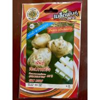 ราคา เมล็ดมันแกว (มันสะเภา) 10 แถม 1 พันธุ์สะเภาแก้ว (56102757207)