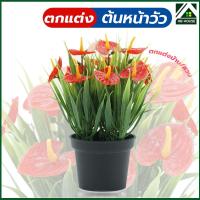 ราคา ต้นหน้าวัว ต้นไม้ประดิษฐ์ ต้นหน้าวัวประดิษฐ์ ต้นหน้าวัวปลอม ต้นไม้ตกแต่ง ตกแต่งสวน (20063956624)