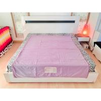 ราคา ปลอกคลุมที่นอนปิคนิค/ท๊อปเปอร์ (แบบหนา) ขนาด 5ฟุต สีม่วงกำมะหยี่ลายวินเทจ (สินค้าหายาก) มือสองสภาพดี เกาหลีแท้ (11117880752)