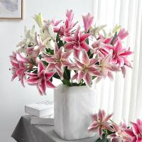 ราคา Double lily ประดิษฐ์ดอกไม้ยาวสาขาบ้าน l 重瓣 South sim ประดิษฐ์ดอกไม้ดอกไม้ยาว Diana ตกแต่งใหม่ปักชุดดอกไม้โชคลาภ dildo3头合 花1229FZH (57353924601)