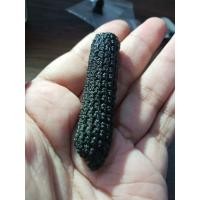 ราคา ตะกรุดถักเชือกเก่าไม่ทราบที่ (29493434359)