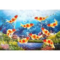 ราคา โปสเตอร์ รูปวาด ปลาคาร์ฟ ปลามงคล ภาพมงคล เสริมฮวงจุ้ย Fancy Carp 鯉 POSTER 20”x30” นิ้ว Fish Koi Kohaku V7 (6556794992)