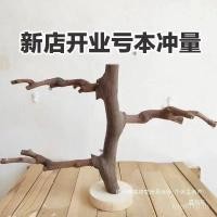 ราคา ไม้วันที่ไม้ขนาดเล็กดวงอาทิตย์ยืนสาขาลําต้นนกองุ่นนกแก้วสาขาโรงงานขายตรง ซวนเฟิง นกยืนเสา ย9x8 (47600109520)