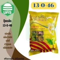 ราคา ปุ๋ยเกล็ดแมวทองคำ 13-0-46 เร่งแป้ง เพิ่มน้ำหนัก เร่งสี บำรุงผล เพิ่มผลิต ฮอร์โมนพืช อาหารเสริมสำหรับพืช 1 กิโลกรัม (43155822226)