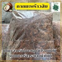 ราคา กากมะพร้าวสับ (สับเล็ก 1 ถุง) สำหรับเพาะปลูก-ชำรากต้นไม้ (1 ชิ้นขนาดเท่าลูกเต๋า) (10954762372)