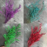 ราคา ดอกเเคสเปียร์ แคสเปียร์ ดอกไม้ย้อมสี ดอกไม้ธรรมชาติ แคสเปียร์แห้ง ดอกไม้แห้ง (54551387543)