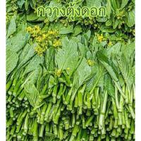 ราคา กวางตุ้งดอกฮ่องกง​ เขียวมันต้นอวบ (9333809840)