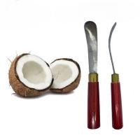 ราคา (พร้อมส่ง)มีดขูดมะพร้าวด้ามไม้ มีดแคะ เอาเนื้อมะพร้าวอ่อน ทำเค้กมะพร้าว ทำแยมมะพร้าว (25420040103)