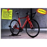 ราคา จักรยานเสือหมอบ Richter ECHO เฟรมอลูมิเนียมซ่อนสาย 20 SP ดีสก์เบรก เกียร์มือตบ กะโหลกกลวง คุณภาพดี (6039109141)