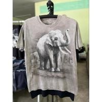 ราคา เสื้อมือสอง THE MOUNTAIN (29362914695)