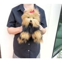 ราคา ตุ๊กตาสุนัขยอร์คเชีย เทอร์เรีย งานวินเทจปี 1997 Ty Yorkshire Terrier Dog ขนาด 12 นิ้ว (25459683199)
