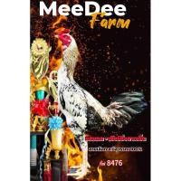 ราคา ไข่ไก่ชนพม่า แสนกล + เยียร์ซิ่งสาเบริ์ด ม้าล่ออาชีพ แม่นหูพิเศษ (26521803777)