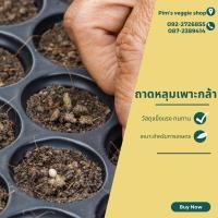 ราคา ถาดหลุมเพาะกล้า ถาดหลุมเพาะชำ ถาดเพาะเมล็ด 60/200หลุม (17300879718)