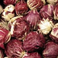 ราคา 50 เมล็ด เมล็ดพันธุ์ กะหล่ำปลี กะหล่ำใบ กะหล่ำปลีเขียว Cabbage Seeds สายพันธุ์ กะหล่ำปลีแดง (40022947895)