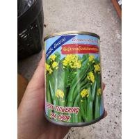 ราคา เมล็ดผักกาด กวางตุ้ง ผักกวางตุ้ง กวางตุ้งดอก ดอยสุเทพ เขียวมัน ต้นอวบ ขนาด 80 กรัม ตราต้นไผ่ ผักกาดดอก (27317440665)