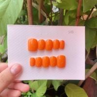 ราคา เล็บปลอมสำเร็จรูปแถมฟรีกาว+ตะไบ (6034709466)