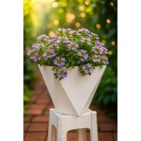 ราคา กระถางทรงสี่เหลี่ยมเพชร สีขาว โมเดิร์น (43505976741)