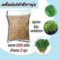ราคา เมล็ดพันธุ์ผักชีลาว ทรงพุ่ม ขนาด 500 กรัม 2ถุง เม็ดผักชี เมล็ดพืช ผักชีลาว ผักชีลาวพุ่ม ต้นใหญ่ ทรงพุ่ม (40205543508)