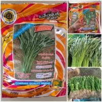 ราคา เมล็ดพันธุ์ผักบุ้งใบไผ่ (ตราสี่ทิศ) ขนาด 1 กก. (25208336327)