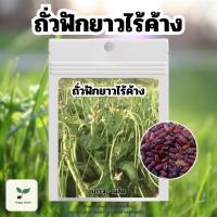 ราคา เมล็ดพันธุ์ ถั่วพุ่ม ถั่วฟักยาวไร้ค้าง น้ำหนัก 20 กรัม เมล็ดพันธุ์ผัก เมล็ดพันธุ์พืช ปลูกผักสวนครัว ปลูกผักกินเอง (29868832085)