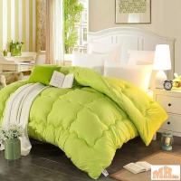 ราคา Maylee Colorful Soft Microfiber Quilt Single (สีเขียว) (40078021588)