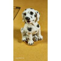 ราคา สุนัขพันธุ์ดัลเมเซียน มือสองญี่ปุ่น (56100714961)