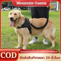 ราคา พร้อมส่งสายรัดอกสุนัข สายรัดอก ใช้ได้กับสุนัขทุกขนาด สายจูงสุนัข พันธุ์กลาง-ใหญ่ หลายสี หลายไซส์ สายจูงหมา มีแถบสะท้ (24180441610)