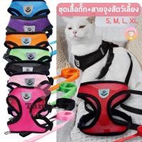 ราคา สายจูงแมว สายจูงสุนัขสายจูง ราคาประหยัด สายจูงแมวรัดอก สายจูงสัตว์เลี้ยง เชือกจูงแมว ที่จูงแมว tj99 (26354959157)