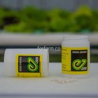 ราคา เมล็ดพันธุ์ผักสลัด กรีนโอ๊ค Vizir ชนิดเคลือบ กระป๋อง 1,000 เมล็ด (5595838719)