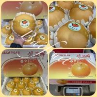 ราคา ✨สาลี่หิมะ นำเข้า 7-9 ลูก By Baifruit✨ (10550947582)