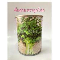 ราคา เมล็ดผักคื่นฉ่าย (เข่งฉ่าย) คื่นฉ่าย พันธุ์กวางเจา (65 กรัม) Celery (25142940250)