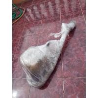 ราคา ท่อไอเสีย viosปี2007 ปลายท่อไอเสียพร้อมหม้อพัก (20684231100)