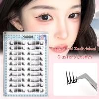 ราคา 10/30 แถวไม่มีกาวและ Non ที่ถอดออกได้ U-รูปขนตาธรรมชาติใส Naked Self กาว Q5r4 (45003147500)